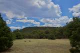 TBD La Veta Pines Ranch - Photo 18