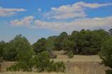 TBD La Veta Pines Ranch - Photo 19