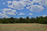 TBD La Veta Pines Ranch - Photo 20