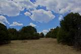 TBD La Veta Pines Ranch - Photo 21