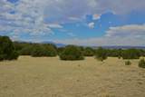 TBD La Veta Pines Ranch - Photo 22