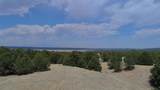 TBD La Veta Pines Ranch - Photo 24