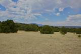 TBD La Veta Pines Ranch - Photo 25