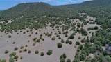 TBD La Veta Pines Ranch - Photo 26