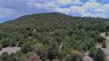 TBD La Veta Pines Ranch - Photo 29