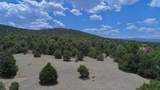 TBD La Veta Pines Ranch - Photo 36
