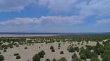 TBD La Veta Pines Ranch - Photo 37