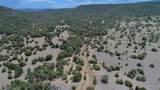 TBD La Veta Pines Ranch - Photo 38