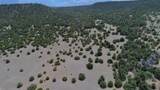 TBD La Veta Pines Ranch - Photo 41