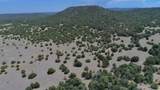 TBD La Veta Pines Ranch - Photo 42