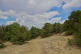 TBD La Veta Pines Ranch - Photo 5