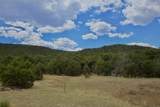 TBD La Veta Pines Ranch - Photo 6
