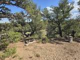 311 Navajo - Photo 19