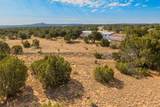 303 Calle La Sierra Blanca Drive - Photo 37