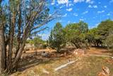 303 Calle La Sierra Blanca Drive - Photo 44