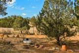 303 Calle La Sierra Blanca Drive - Photo 46
