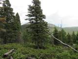  Lot 103 Valley Vista - Photo 11