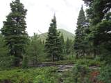  Lot 103 Valley Vista - Photo 12