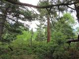  Lot 103 Valley Vista - Photo 14