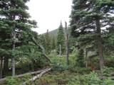  Lot 103 Valley Vista - Photo 17