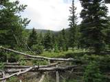  Lot 103 Valley Vista - Photo 23