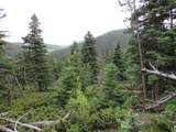  Lot 103 Valley Vista - Photo 25