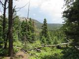  Lot 103 Valley Vista - Photo 6