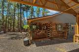 23251 Elk Trail - Photo 30