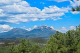 23251 Elk Trail - Photo 42