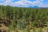 23251 Elk Trail - Photo 43