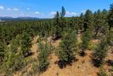 23251 Elk Trail - Photo 44