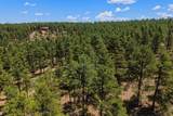23251 Elk Trail - Photo 45