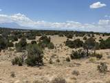 Lot F Twin Lakes Ranches - Photo 10