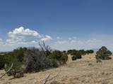 Lot F Twin Lakes Ranches - Photo 11