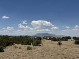 Lot F Twin Lakes Ranches - Photo 13