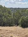 Lot F Twin Lakes Ranches - Photo 14