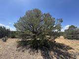 Lot F Twin Lakes Ranches - Photo 17