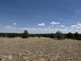 Lot F Twin Lakes Ranches - Photo 3