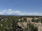 Lot F Twin Lakes Ranches - Photo 7