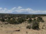 Lot F Twin Lakes Ranches - Photo 9