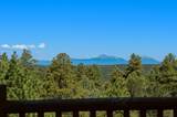 33022 Fisher Peak Pkwy - Photo 36