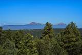 33022 Fisher Peak Pkwy - Photo 37