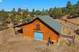 33022 Fisher Peak Pkwy - Photo 38