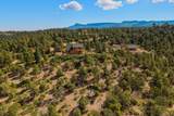 33022 Fisher Peak Pkwy - Photo 42