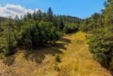 33022 Fisher Peak Pkwy - Photo 43
