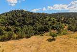 33022 Fisher Peak Pkwy - Photo 44