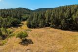 33022 Fisher Peak Pkwy - Photo 45