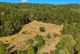 33022 Fisher Peak Pkwy - Photo 46