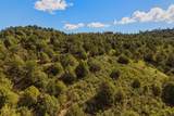 33022 Fisher Peak Pkwy - Photo 47