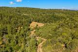 33022 Fisher Peak Pkwy - Photo 48